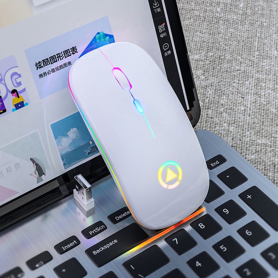 Rechargeable Silent Wireless Mouse For PC And Laptop
